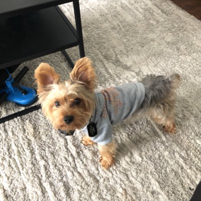 Jdog1023Lopez's tweet photo. #NewProfilePic https://t.co/SL3FKYRoti