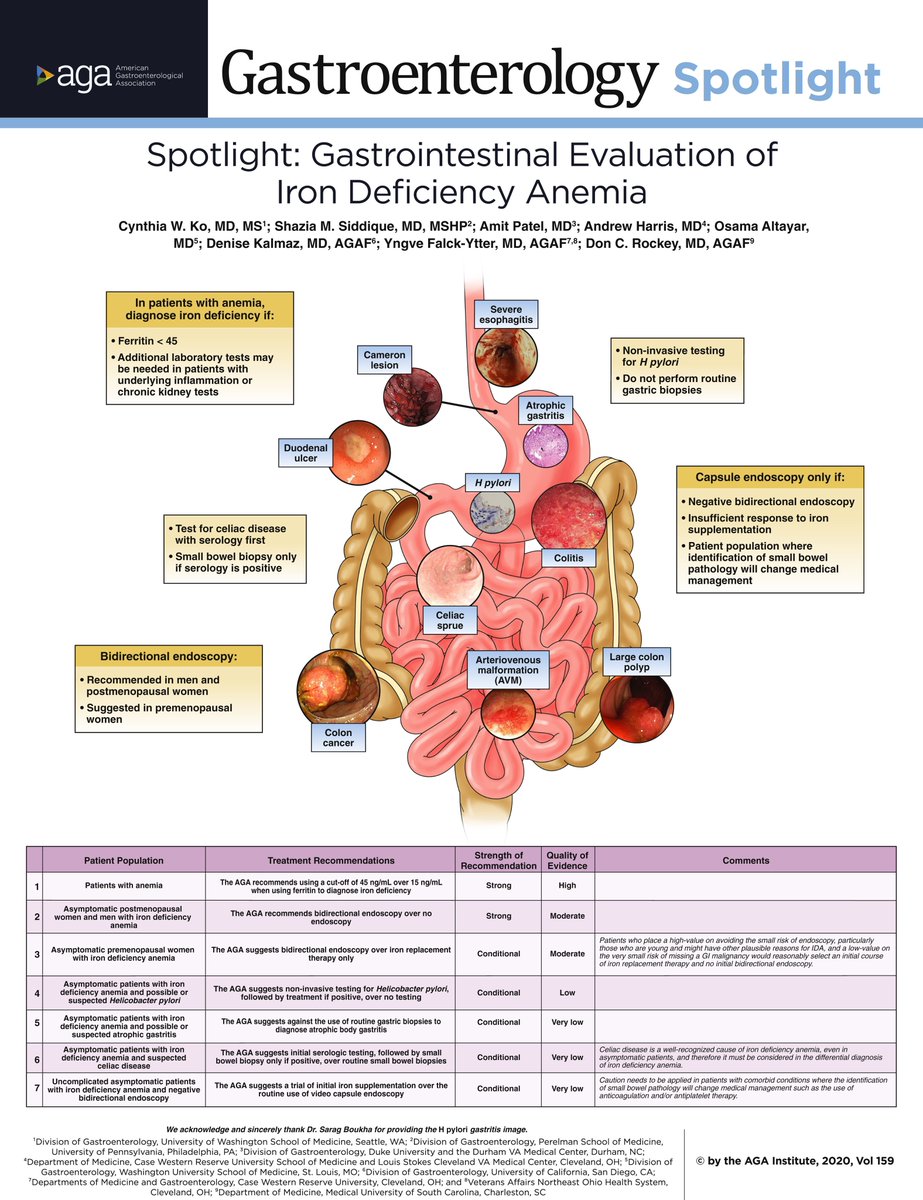 GI evaluation of IDA: summary of AGA recommendations #GITwitter #4KMedEd

Note: don’t biopsy for coeliac if serology negative ⛔️

(Via <a href="/AGA_Gastro/">Gastroenterology</a>)