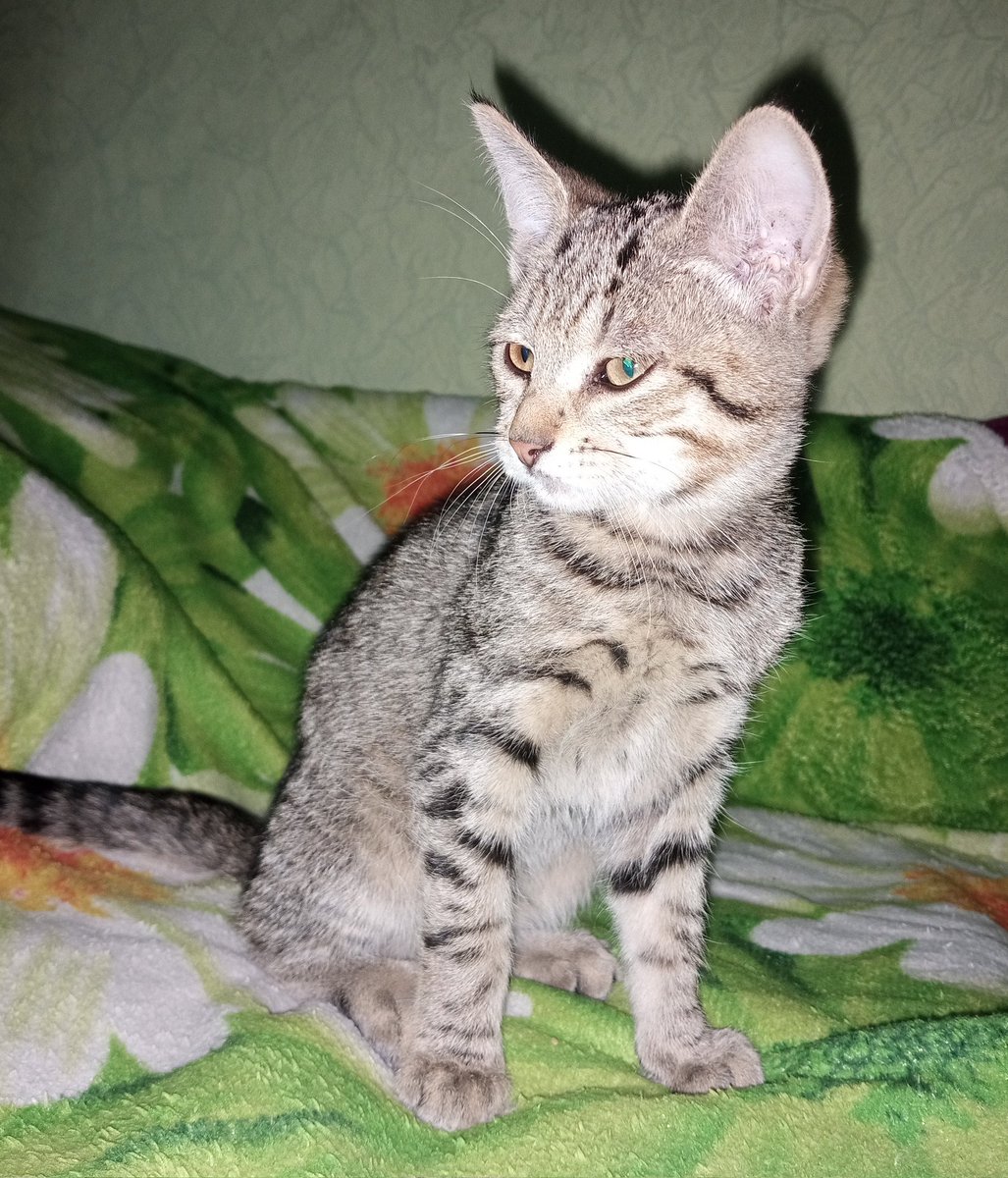 💜𝕒𝕍𝕟💜 | tmr tweet media