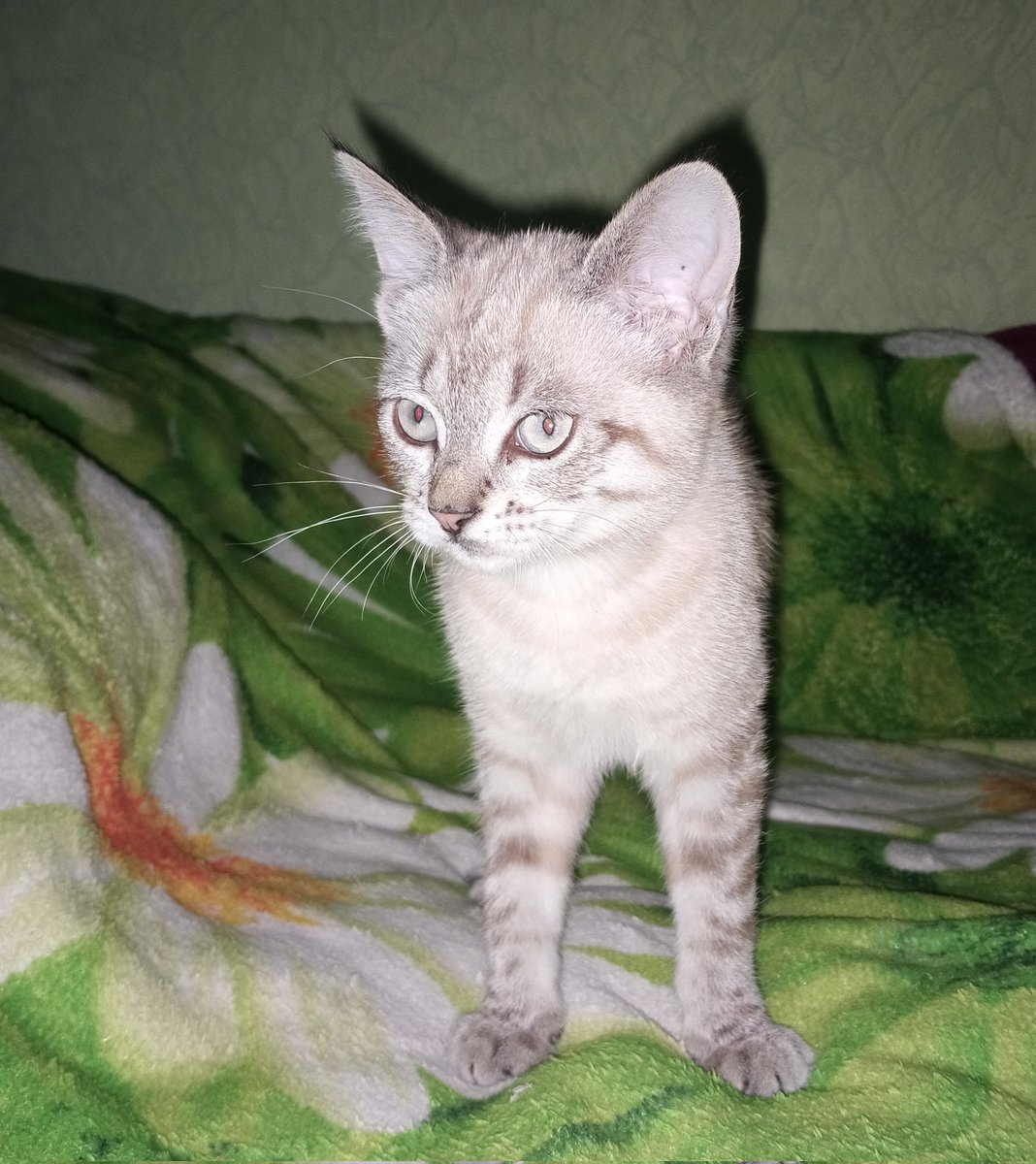 💜𝕒𝕍𝕟💜 | tmr tweet media