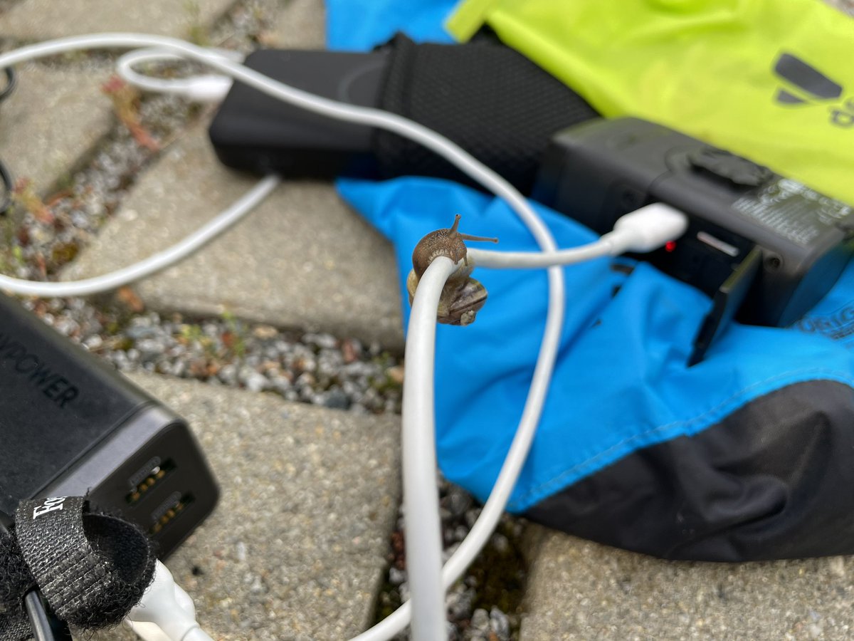 dieg0's tweet photo. Mit dem neuen Netzteil kommen wir jetzt auf 0,4 statt 0,3 kW Ladeleistung. Heftig!! 😋 Spaß beiseite. Für die Ladesäule Schneckentempo, für unsere beiden 0,4 kWh-Fahrradakkus ein großer Unterschied. #DD_GR #OLUG https://t.co/2aQefFAAMe
