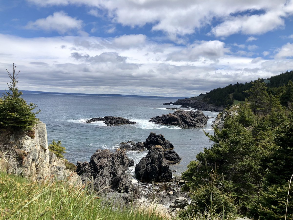 MrsCollinsNL's tweet photo. Burnt Head Trail, Cupids, NL @Rec_NL #NationalTrailsDay #RecMonthNL https://t.co/W3KytACoFU