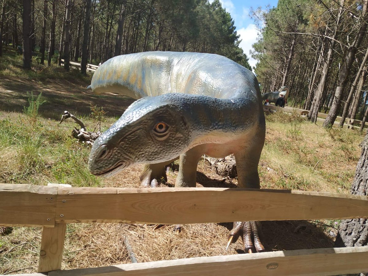 Squared_Potato's tweet photo. O nosso @caixadoulisses anda à caça de monstros no Dino Parque da Lourinhã com um expert em dinossauros!! Tragam as vossas famílias também para um programa que promete.
#JurassicWorldDominion #DinoParque https://t.co/YRNmXRIzUN