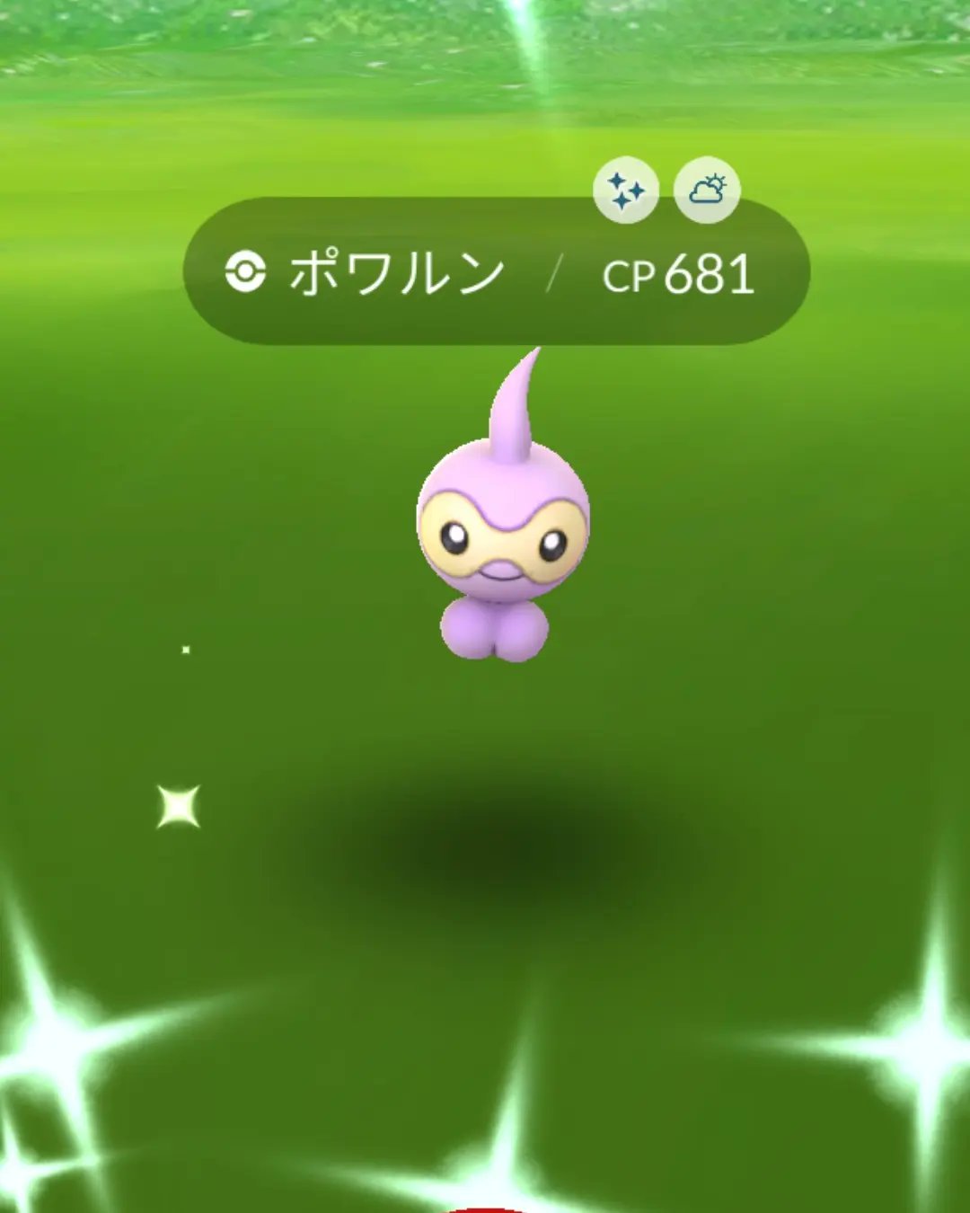 くわっち ポケアカ 朝イチでポワルンさんが来て くれました チケットを買えなかったので 色違いはこれだけ 大事に育てていたオノンドと最高の 相棒になりました そして待望のオノノクスに進化 させました これまで長い道のりざんした