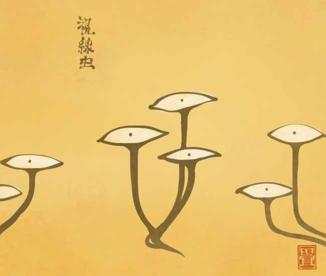 虫妖怪⑰ 