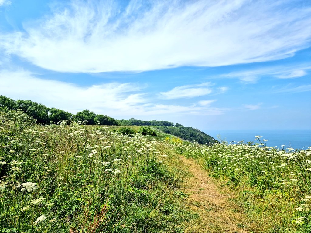 St John's Community Police Officer tweet media