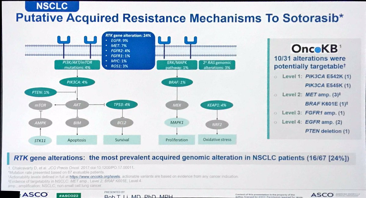 Marco Tagliamento tweet media