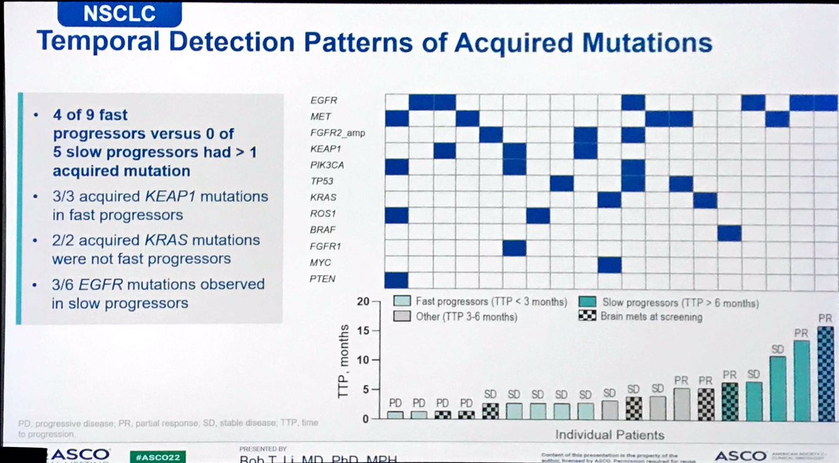 Marco Tagliamento tweet media