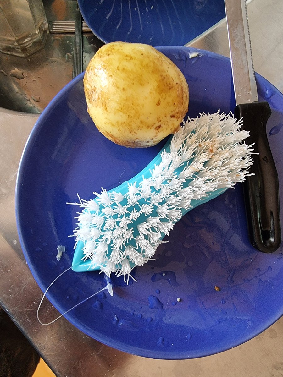 ThomasIvar62's tweet image. #potatis Nu är det den tiden på året som jag borstar potatisen.