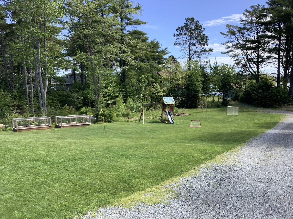 Halifax Seed Turf tweet media