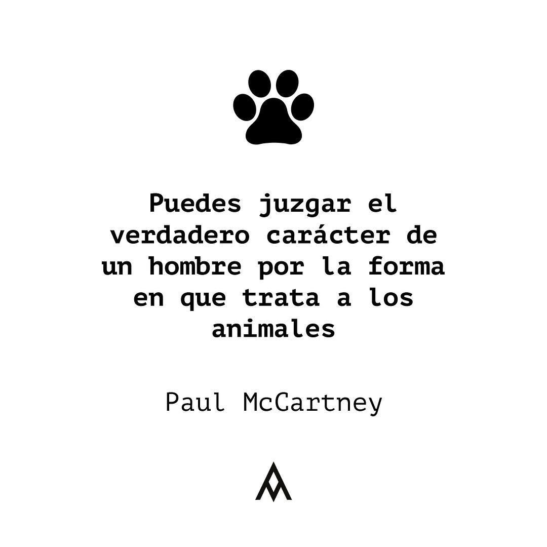 Montsinova2's tweet photo. #StopMaltractamentAnimal
#StopMaltratoAnimal
#AdoptaNoCompres
#RescatAnimal
#GatsDeCarrer
#ColoniesFelines https://t.co/g3qxYpSwL7