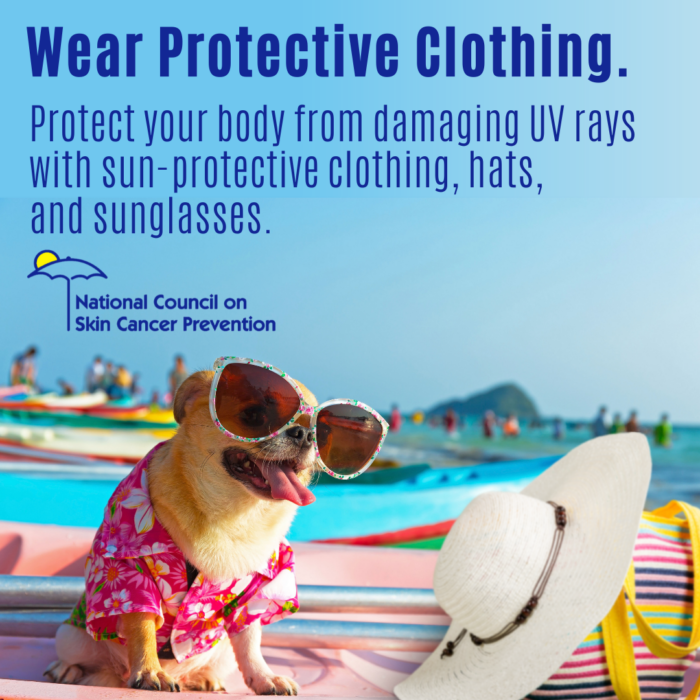 Burlington_MRC's tweet photo. You don’t have fur – so make sure you cover up to keep your skin safe. Take these small steps to sun safety: sunscreen ✅ sunglasses ✅ shade ✅ protective clothing #SmallStepsForSunSafety #CoolDog @Burlington_Rec @BurlMASchools @burlingtonlibma @bcattv @BurlingtonPatch https://t.co/TwSEylVChb