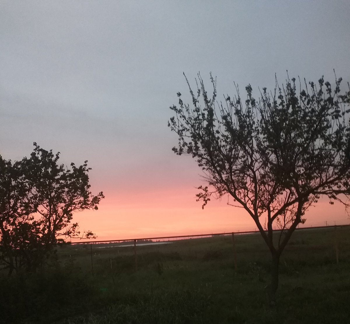 DashaGer5's tweet photo. Я сдала практику на 5, пересдала экзамен,к которому меня не допустили феврале на 4
В следующую пятницу у меня последний экзамен по проф предмету

Что ж... Покажу вам фотографию, которую я сделала вечером.
Это кстати вид из моего окна. https://t.co/Rie3P4xAuA