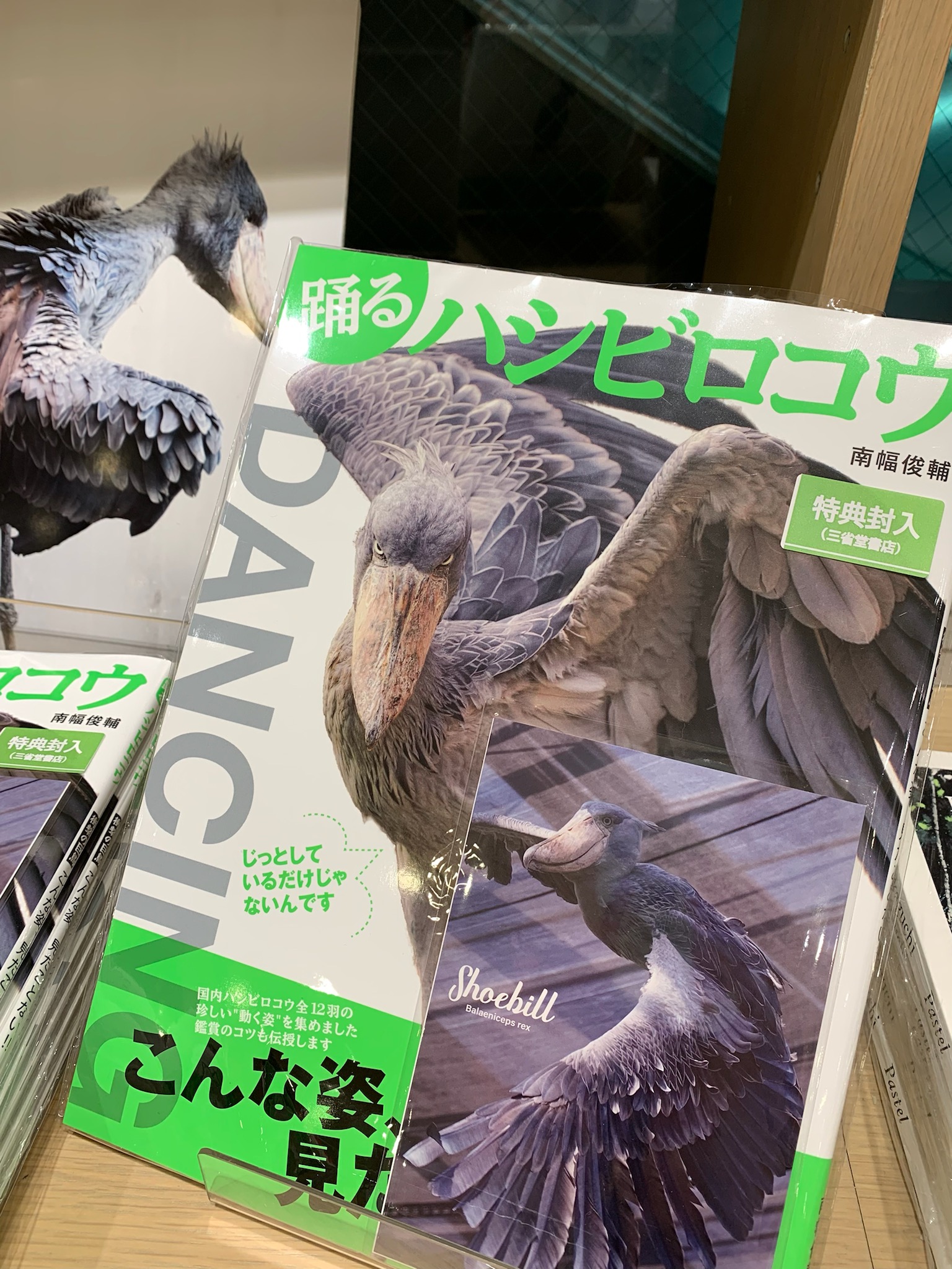 三省堂書店池袋本店 動かない鳥 のこんな姿 見たことある 踊るハシビロコウ ライブ パブリッシング でご確認ください 今なら特典ポストカードも付いてます 書籍館1階 では著者南幅俊輔さんこだわりの写真パネルも展開中 ぜひ見て 三省堂書店池袋本店 動かない鳥 のこんな姿 見たことある 踊るハシビロコウ ライブ パブリッシング でご確認ください 今なら特典ポストカードも付いてます 書籍館1階 では著者南幅俊輔さんこだわりの写真パネルも展開中 ぜひ見て