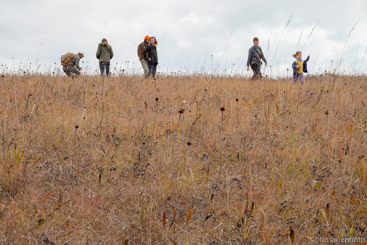 Mark Blassage tweet media