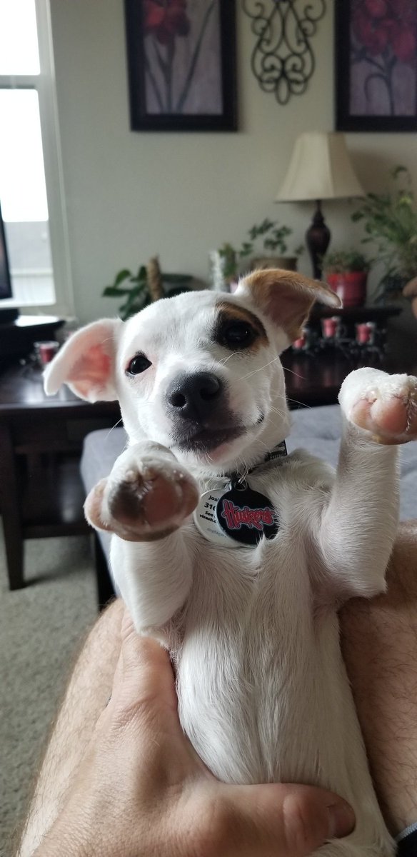 How you doin'?