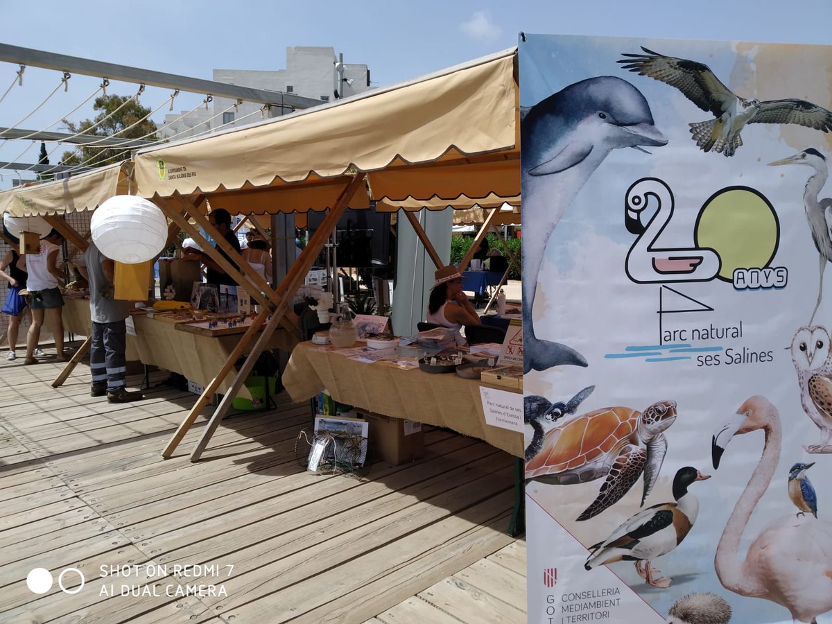 BalearsNatura's tweet photo. El #PNSesSalines, les #RNEsVedrà, @xarxaforestal i @ibanat_IB han estat a la fira del medi ambient de Santa Eulària 

Els i les visitants han pogut descobrir els valors naturals dels espais protegits i han vist com funciona l'operatiu d'incendis forestals. Gràcies per la visita! https://t.co/LZ8HbvzinT