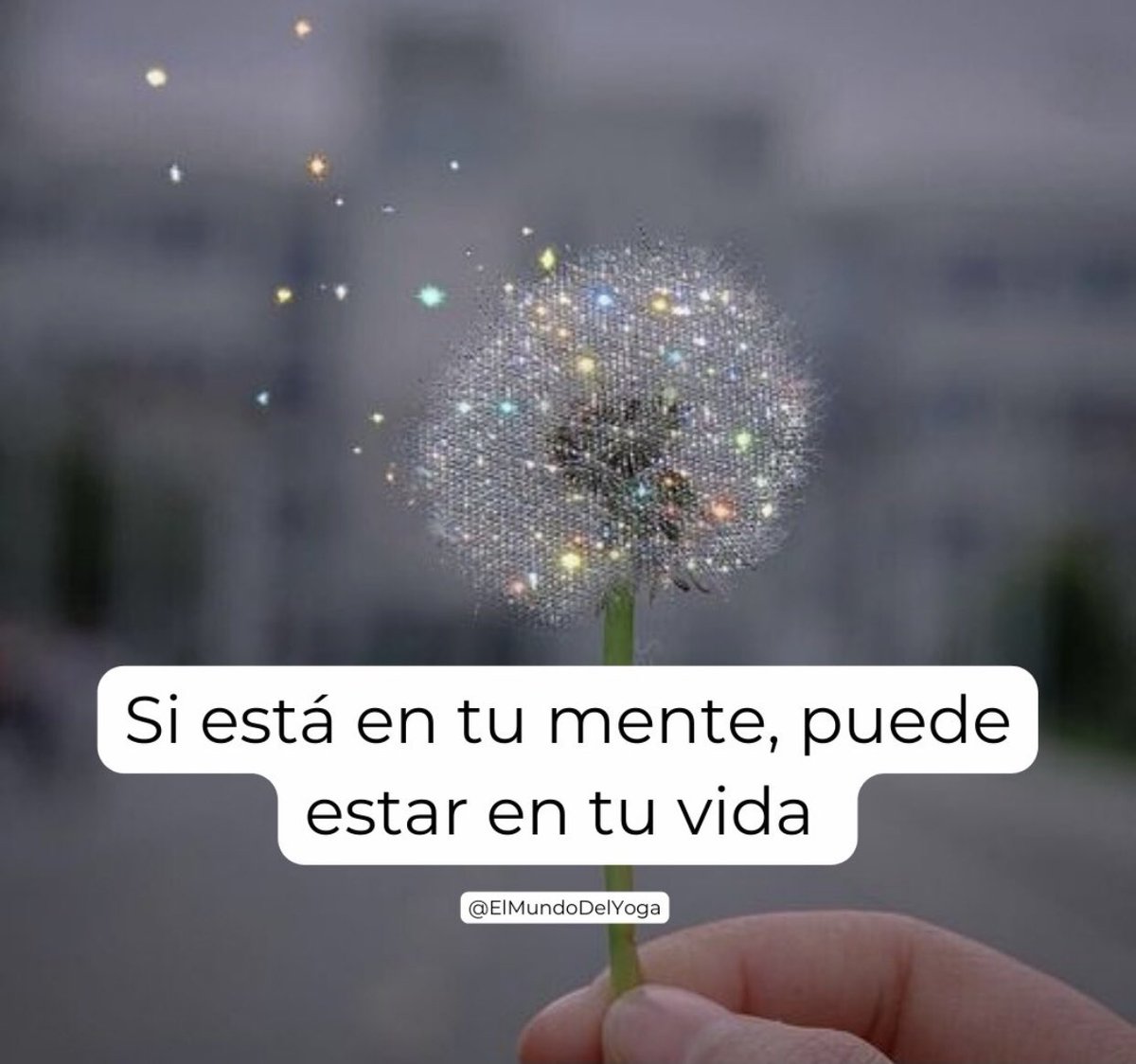 jordaninavarro's tweet photo. ✨CREA✨ https://t.co/6NbSXZNUpt