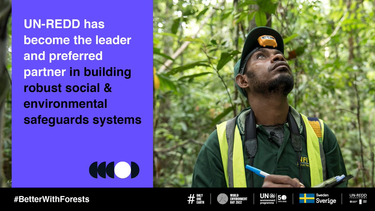unredd's tweet image. Did you know? 

#REDD+ safeguards promote several benefits that contribute to poverty alleviation, #biodiversity conservation, #ecosystem resilience &amp;amp; rural development. 

Read more: bit.ly/3sa4pnO  

#WorldEnvironmentDay  #OnlyOneEarth #BetterWithForests🌲