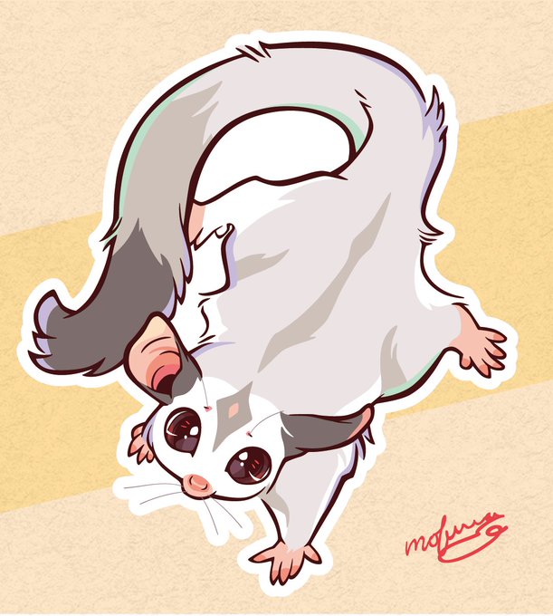 フクロモモンガのtwitterイラスト検索結果