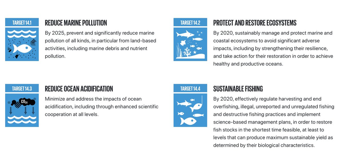 SDG_LAfinal's tweet photo. How to Take Care of Life Below Water https://t.co/C6cZKMXmuV