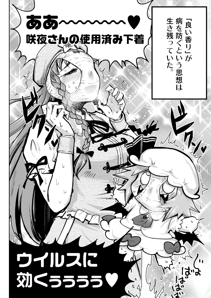 『咲夜さんの使用済み下着はウイルスに効く』
【よくわかるあらすじ】
幻想郷でウイルスが大流行! 美鈴とレミリアは人々を救うため、咲夜の使用済み下着を全世帯に配布する--
https://t.co/RWmxppF5Vi