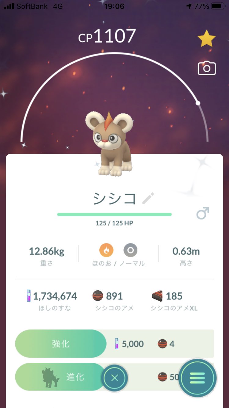Bt٩ W و Go Fest1日目の収穫はこんな感じでした シェイミ初ゲットできて鳴き声 が独特すぎるシシコの色違い初ゲットして何よりもカイオーガのブースト100をゲットしていた事それに尽きる 尚個体値100はこれ含め2体目 やったぜ T Co