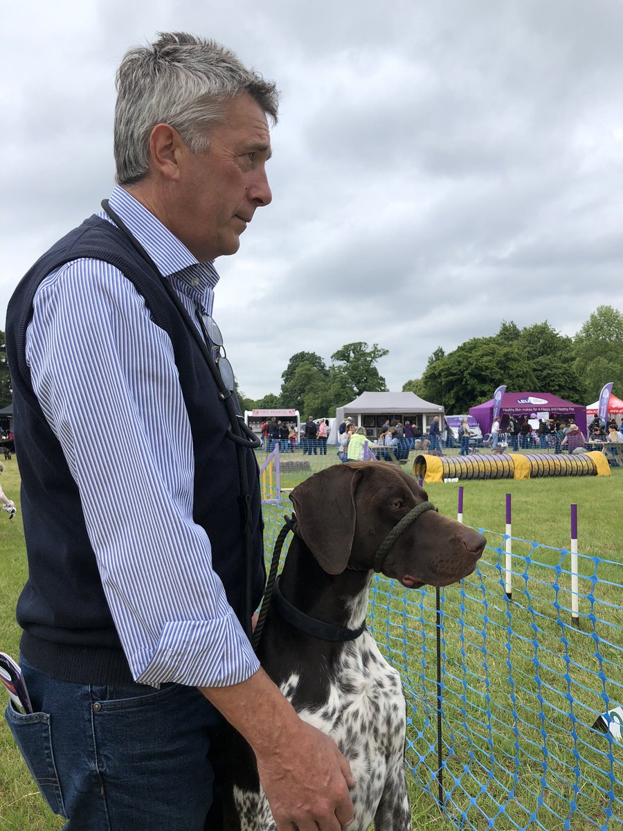 Great day out at #Dogstival Romsey today. Walter was very well behaved and enjoyed watching the agility.