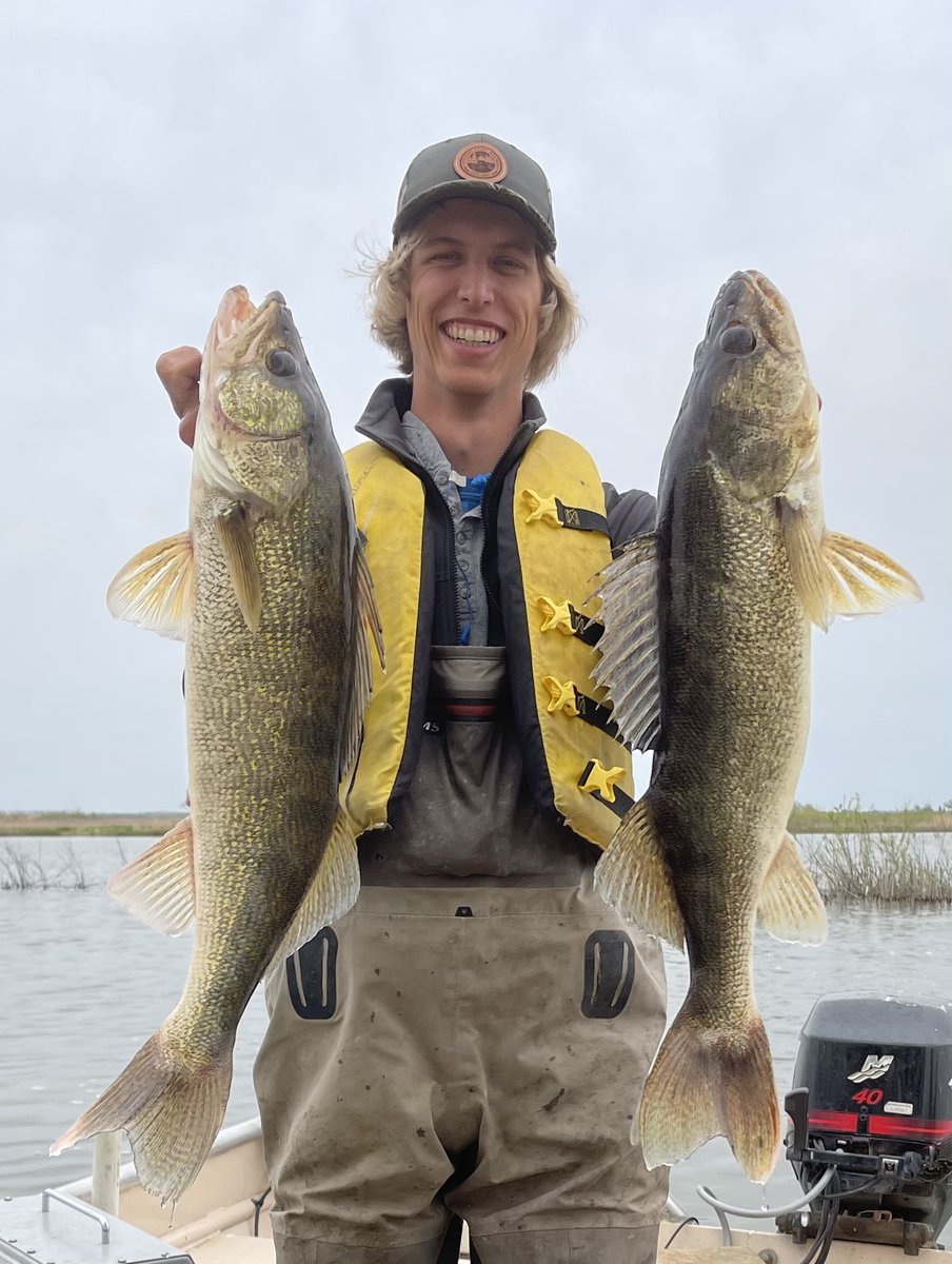 LCut14's tweet photo. Finally wrapped up my spring fieldwork last night, and it was a grind. 24 hours of shock time for 11 #walleye captured in the #wetland leads me to believe they aren’t using it much in the spring. Now time to look at #fishpuke for the next month! https://t.co/J5DQzPncoj