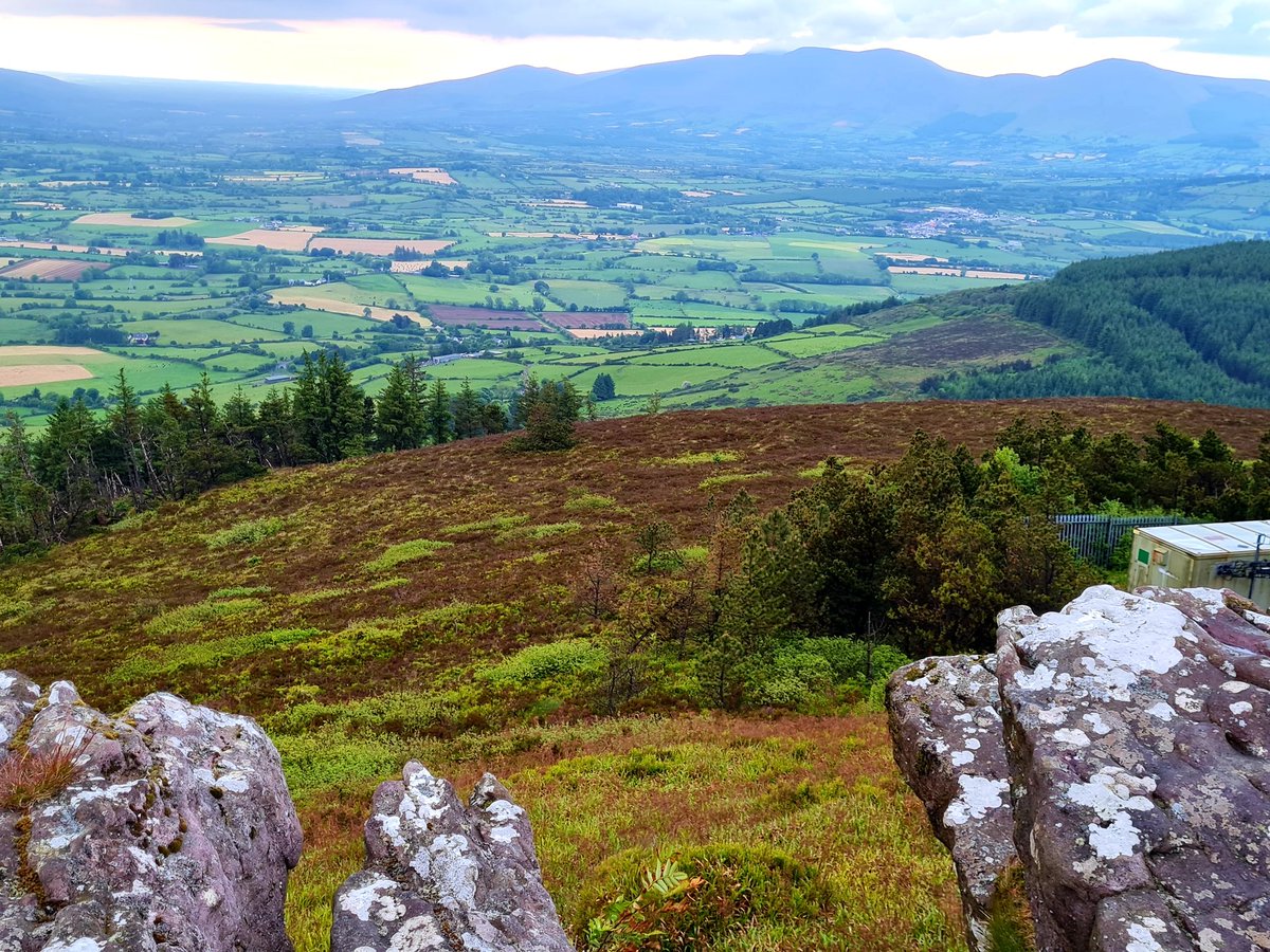lizlimerick1's tweet photo. Lovely stoll yesterday evening up to the Pinnacle of Sliabh Riadh. Started out wet but cleared. #ballyhouracountry #glenbrohane #colimerick https://t.co/tdqOsvH6Cy