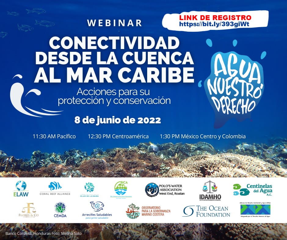 El colectivo Agua Nuestro Derecho te invita al webinar “ Conectividad desde la cuenca hasta el Mar Caribe” donde se abordarán acciones para su protección y conservación. 💧🌊

Te esperamos este próximo 08 de junio 2022. 💧