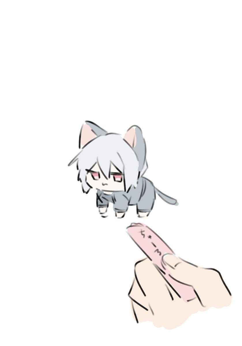 Kuma5598's tweet photo. 🥫🐱💓 https://t.co/obQvt5FCkK