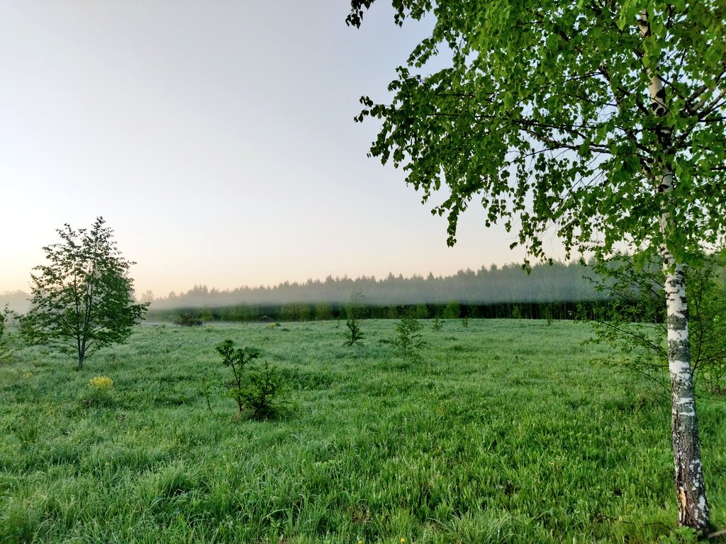 Ирина Shtil LA tweet media