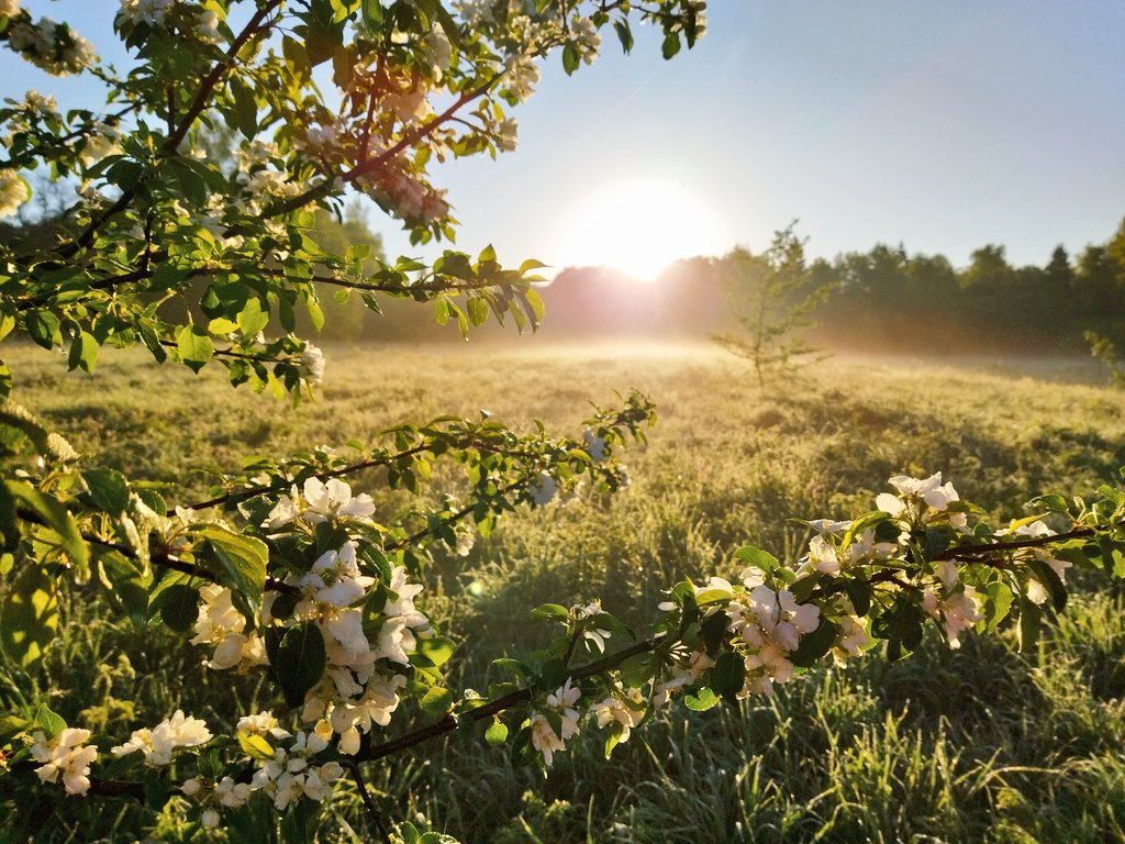 Ирина Shtil LA tweet media