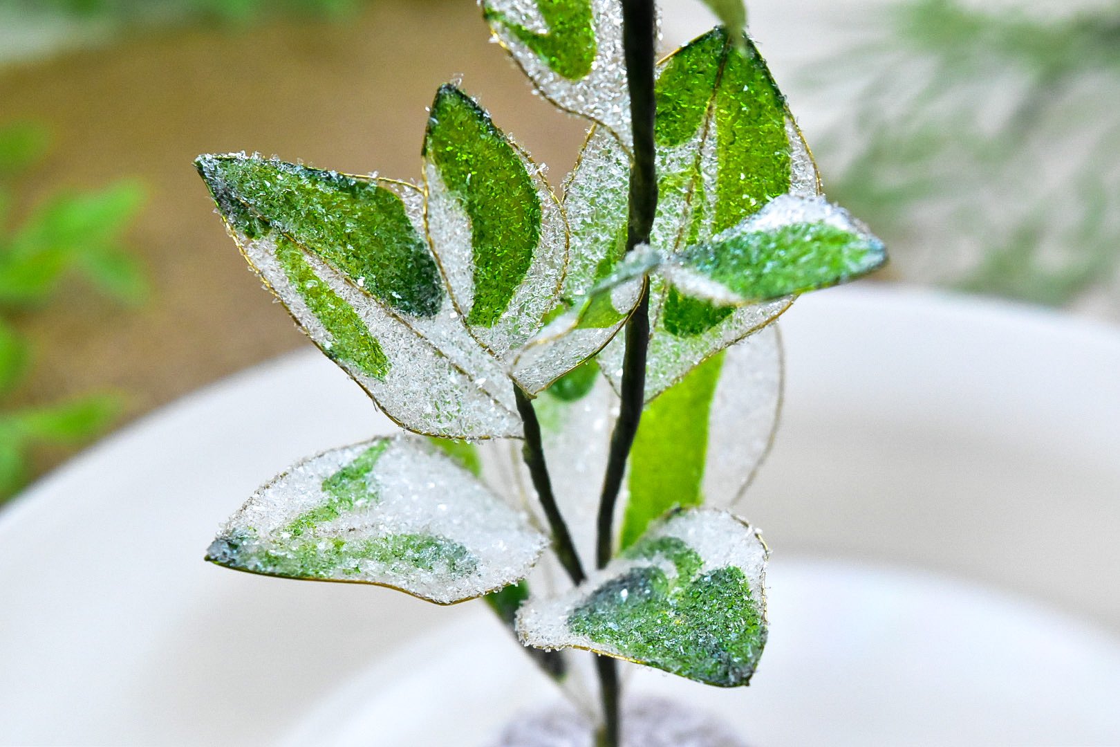 See Diporca S Tweet Twitter