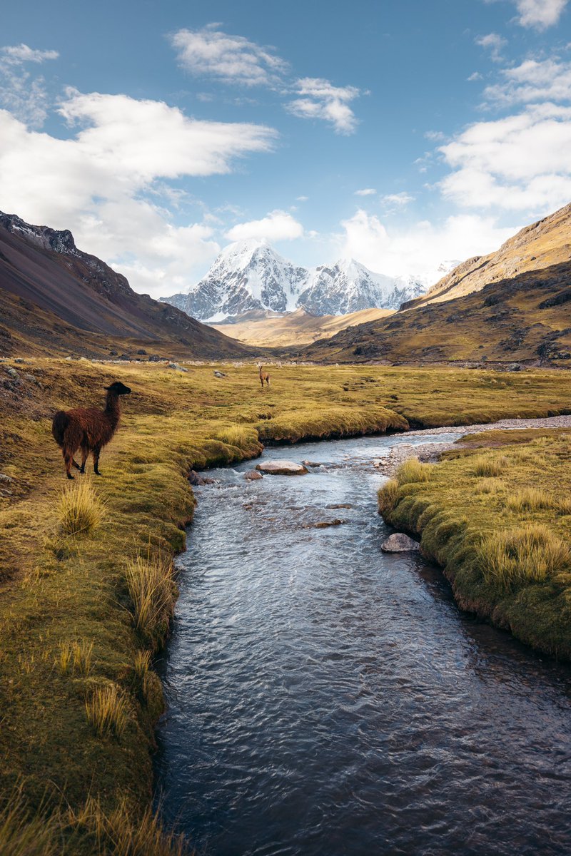 haydlynch's tweet image. Gm!