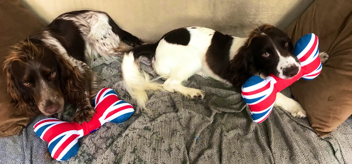 iain_w_anderson's tweet image. Joe and Jarvis #joejarvis getting into the #PlatinumJubilee spirit