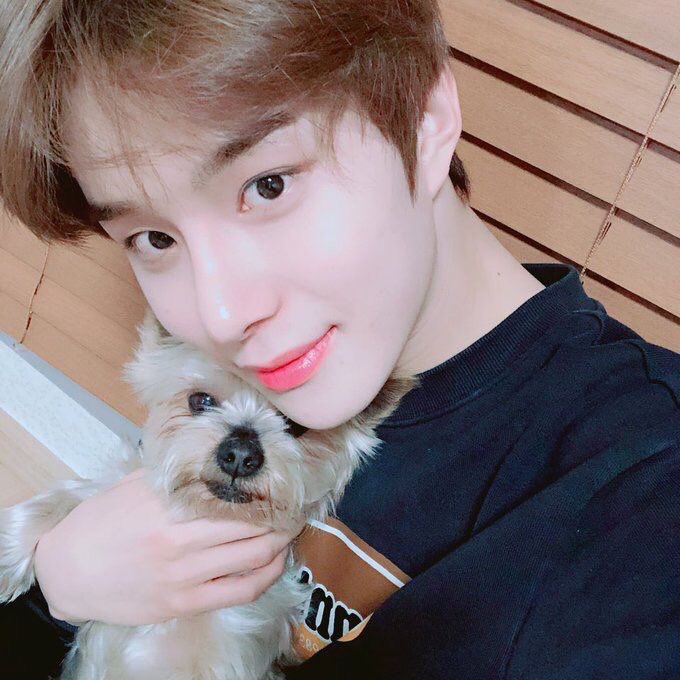 doyoung and jungwoo with dogs