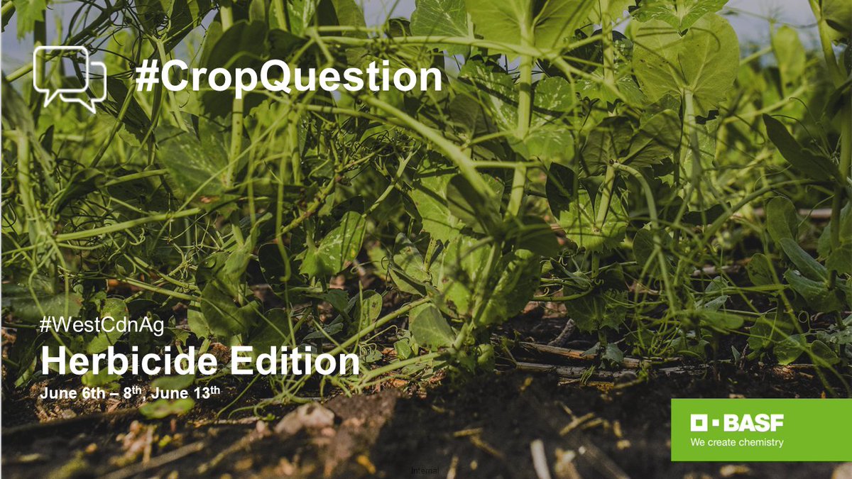 Hey #WestCdnAg, do you have a herbicide #CropQuestion? Over the next couple of weeks <a href="/bethanyb_w/">Bethany Wyatt</a>, <a href="/Chicken_Wing2/">Sean McKnight</a>, <a href="/AllanaLewchuk/">Allana Lewchuk</a> &amp; <a href="/HaydenTremblay8/">Hayden Tremblay</a> will be joining us to talk about herbicide layering, residual suppression &amp; how you can optimize efficacy on your farm this season.