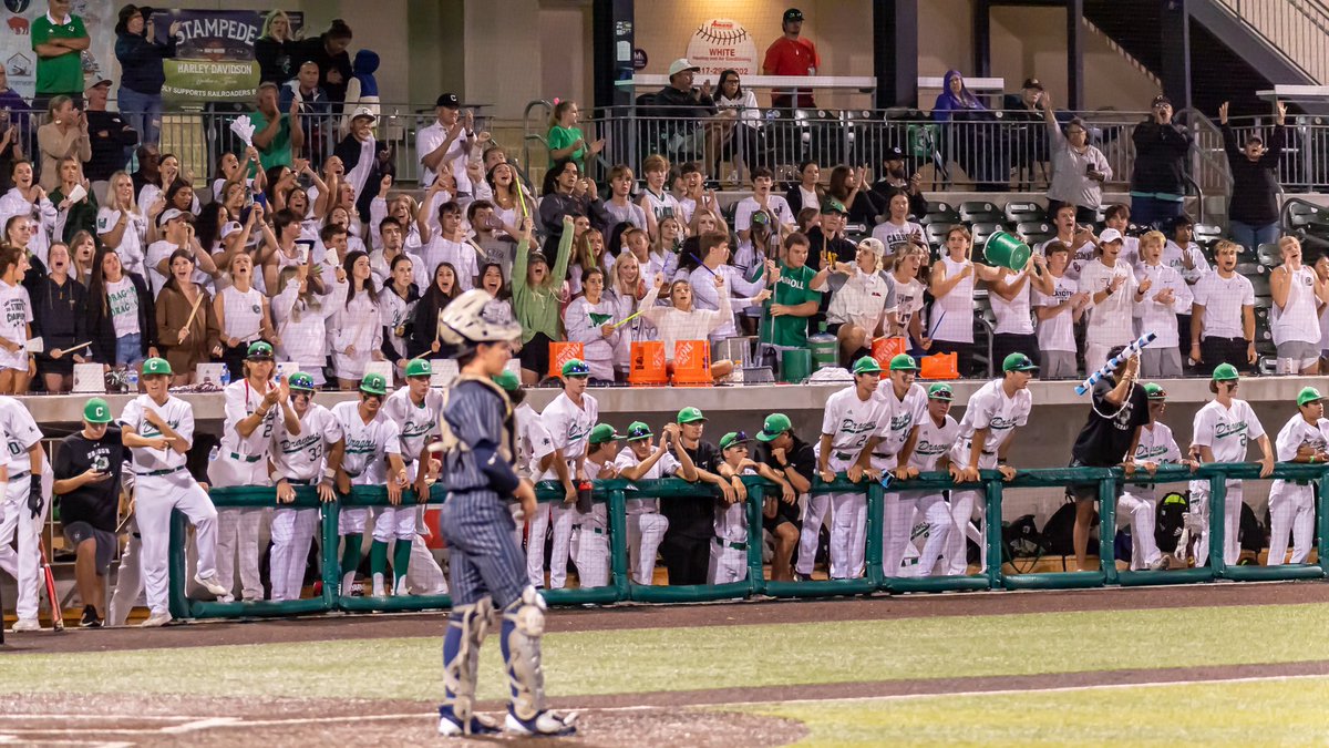 Carroll Dragon Baseball tweet media