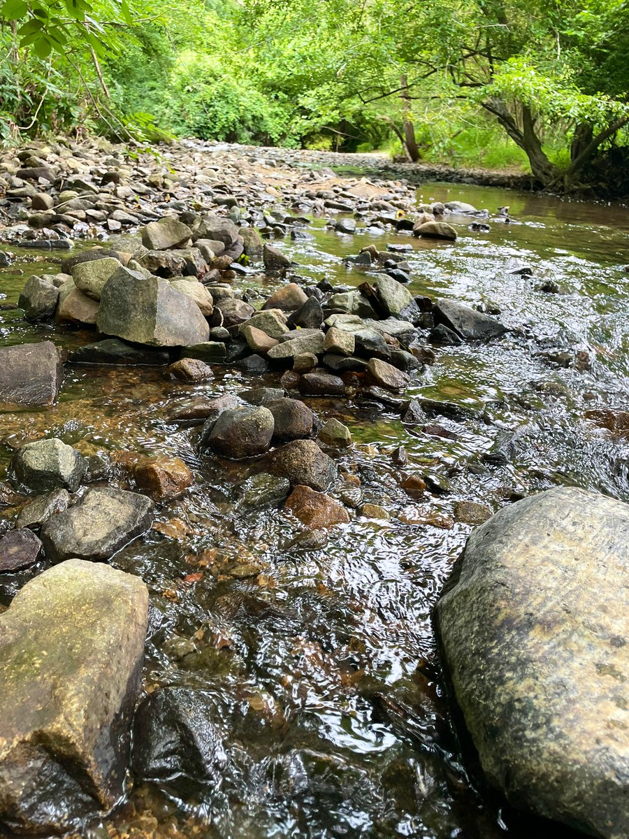 Northside Library tweet media