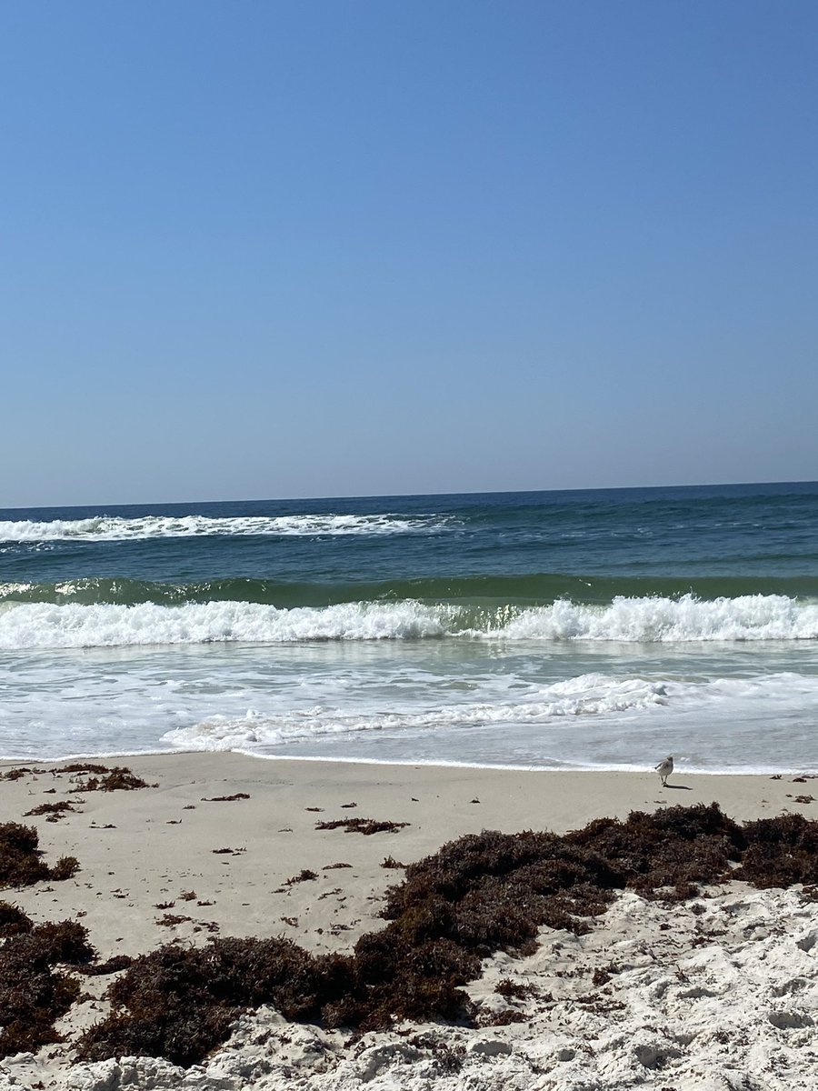 Beautiful day at Orange Beach. <a href="/spann/">James Spann</a>