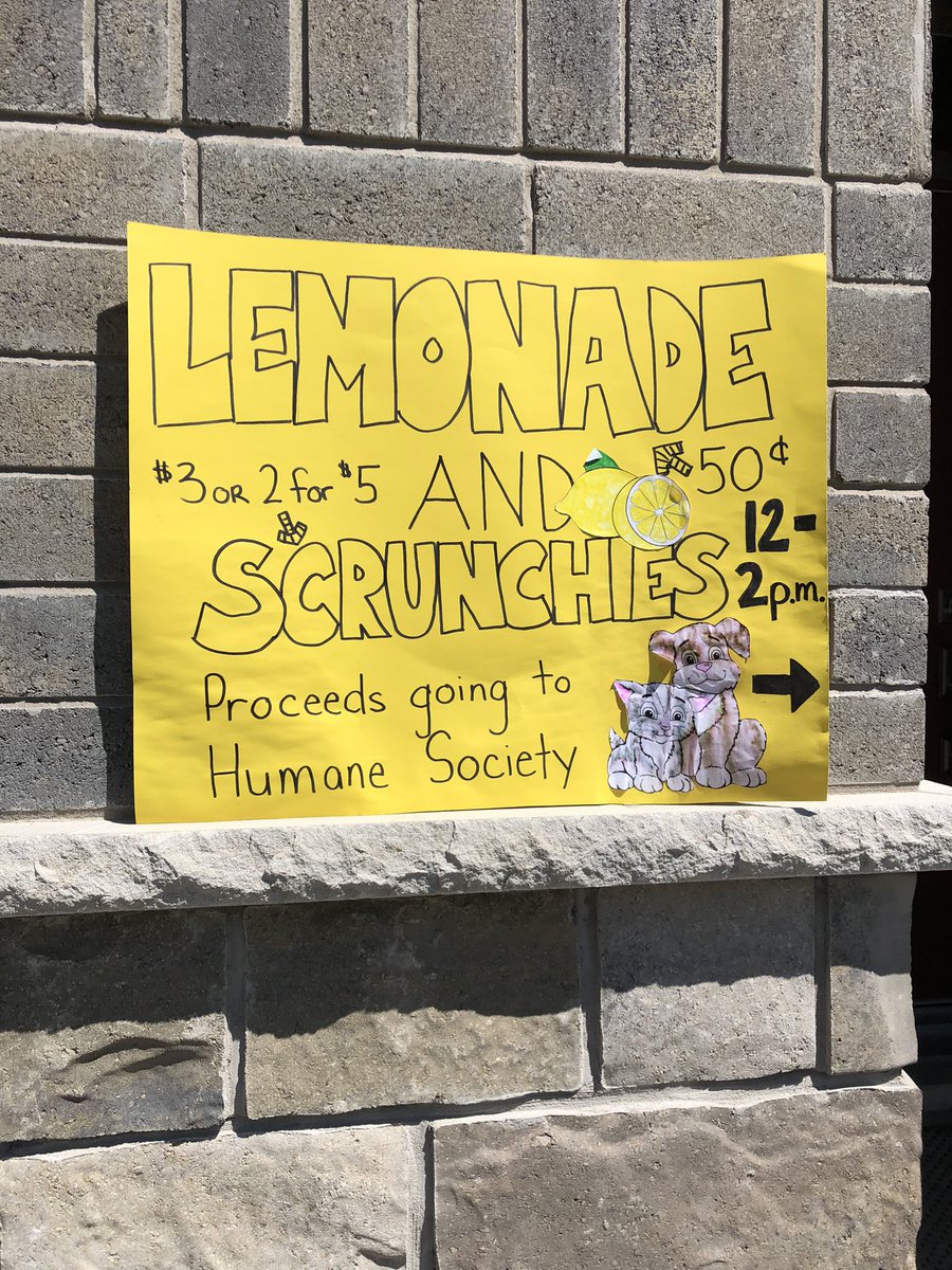 robbiekath's tweet photo. Today!!  Noon until 2 pm.  25 Tuscany Court (Grapeview/Martindale area off of Vansickle Road North) St. Catharines.  Proceeds to @LincolnCountyHS https://t.co/egeSOo8gwL