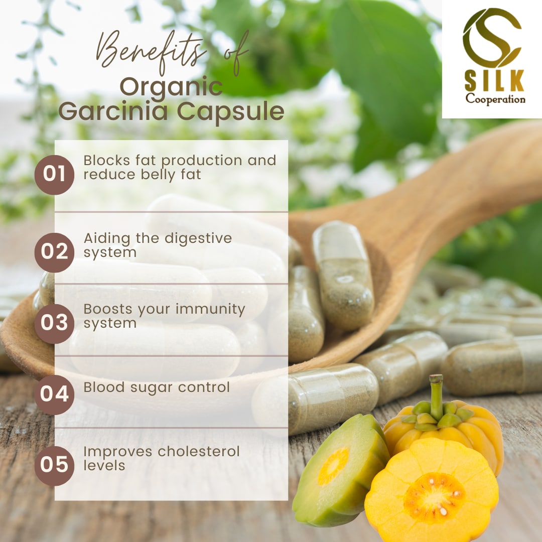 Silkcooperation's tweet photo. Manufactured from our local cultivations, we provide you with the finest formula of garcinia in the form of capsules. Our #organic #garcinia #capsules can be used as a #herbal remedy for many health issues.

Our products are free from #gluten, #soy, #diary and 100% #veganfood https://t.co/wmzScRHCc4