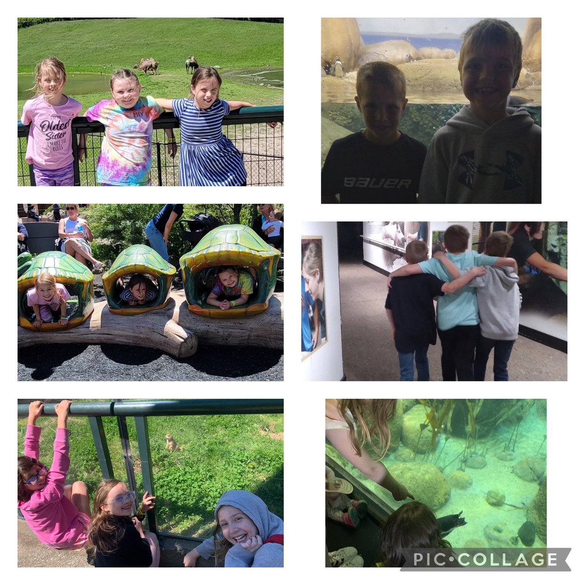 We had so much fun yesterday enjoying the sunshine and animals at the MN zoo! #theMESway
