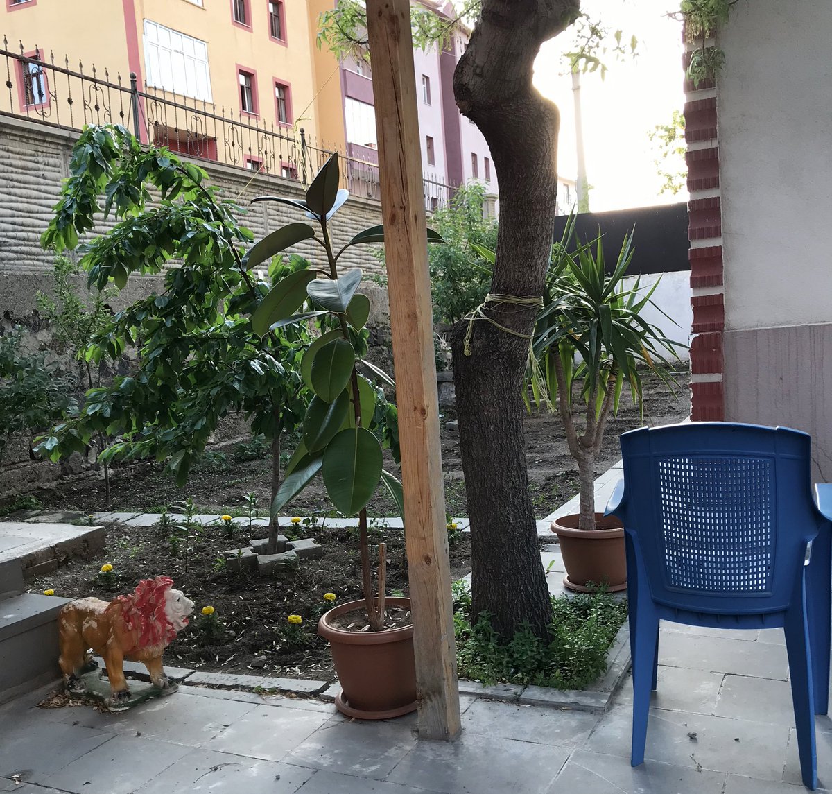 Tadı olanın tuzu yok, tuzu olanın da tadı.. benimse ne tadım var, ne tuzum.. #kimsesiz 🤨☕️🌺