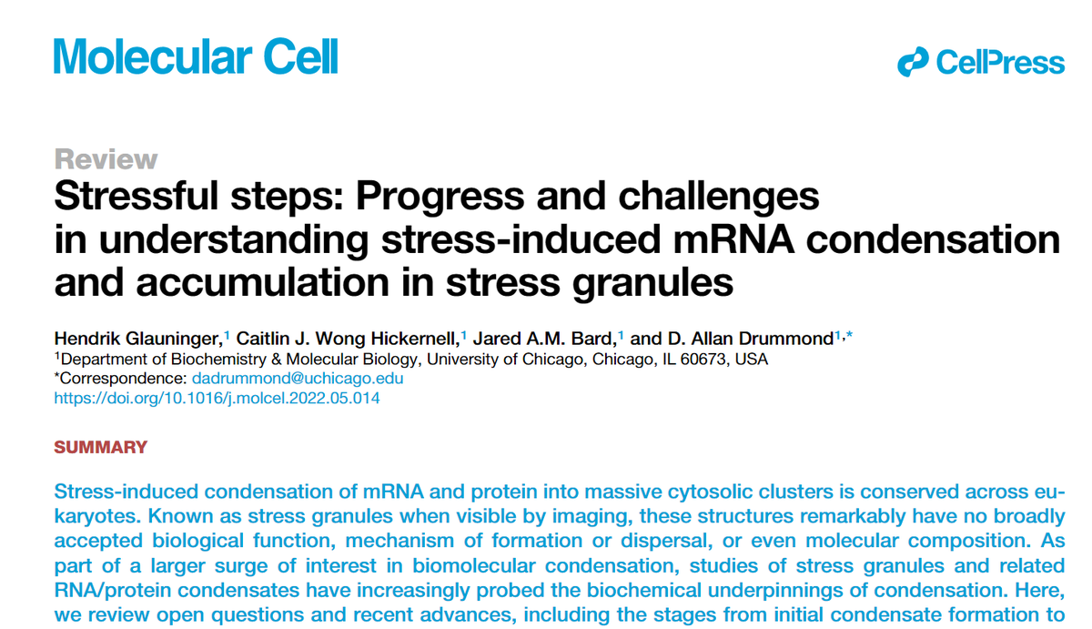 D. Allan Drummond (@dallandrummond) on Twitter photo Our review of stress granules and related phenomena is out <a href="/MolecularCell/">Molecular Cell</a>! An unusually pointed piece, aimed at stimulating progress in a mature field where many of the most basic questions remain unanswered. Like: what do stress granules do? 1/5
authors.elsevier.com/a/1fBEa3vVUPK8… Our review of stress granules and related phenomena is out <a href="/MolecularCell/">Molecular Cell</a>! An unusually pointed piece, aimed at stimulating progress in a mature field where many of the most basic questions remain unanswered. Like: what do stress granules do? 1/5
authors.elsevier.com/a/1fBEa3vVUPK8…