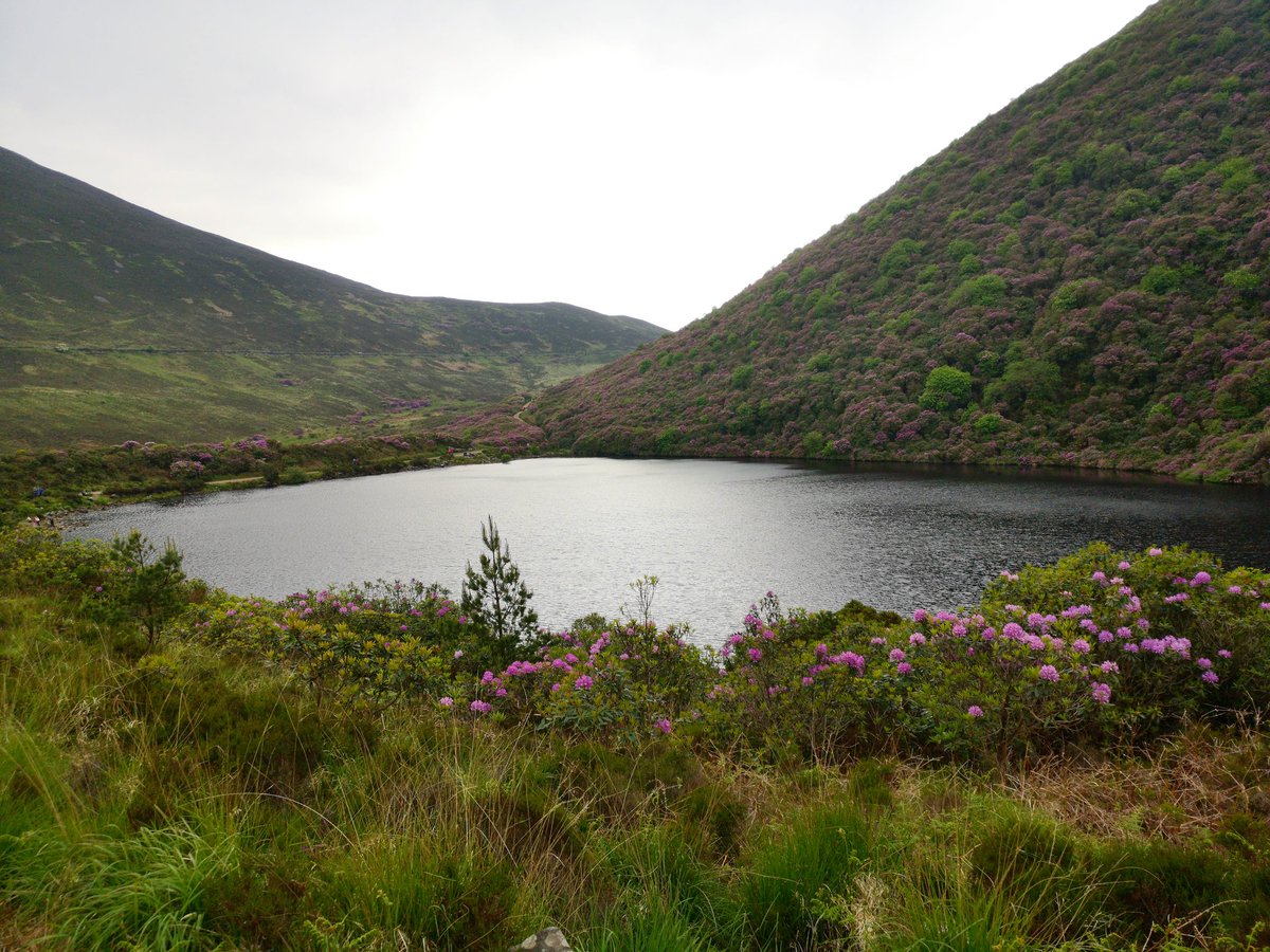 Bay Lough #ireland  #baylough #knockmealdownmountains #tipperary #hiking #hikingadventures #naturephotography #nature #landscape  #naturelovers  #naturephoto #littlepieceofireland #visionopictures