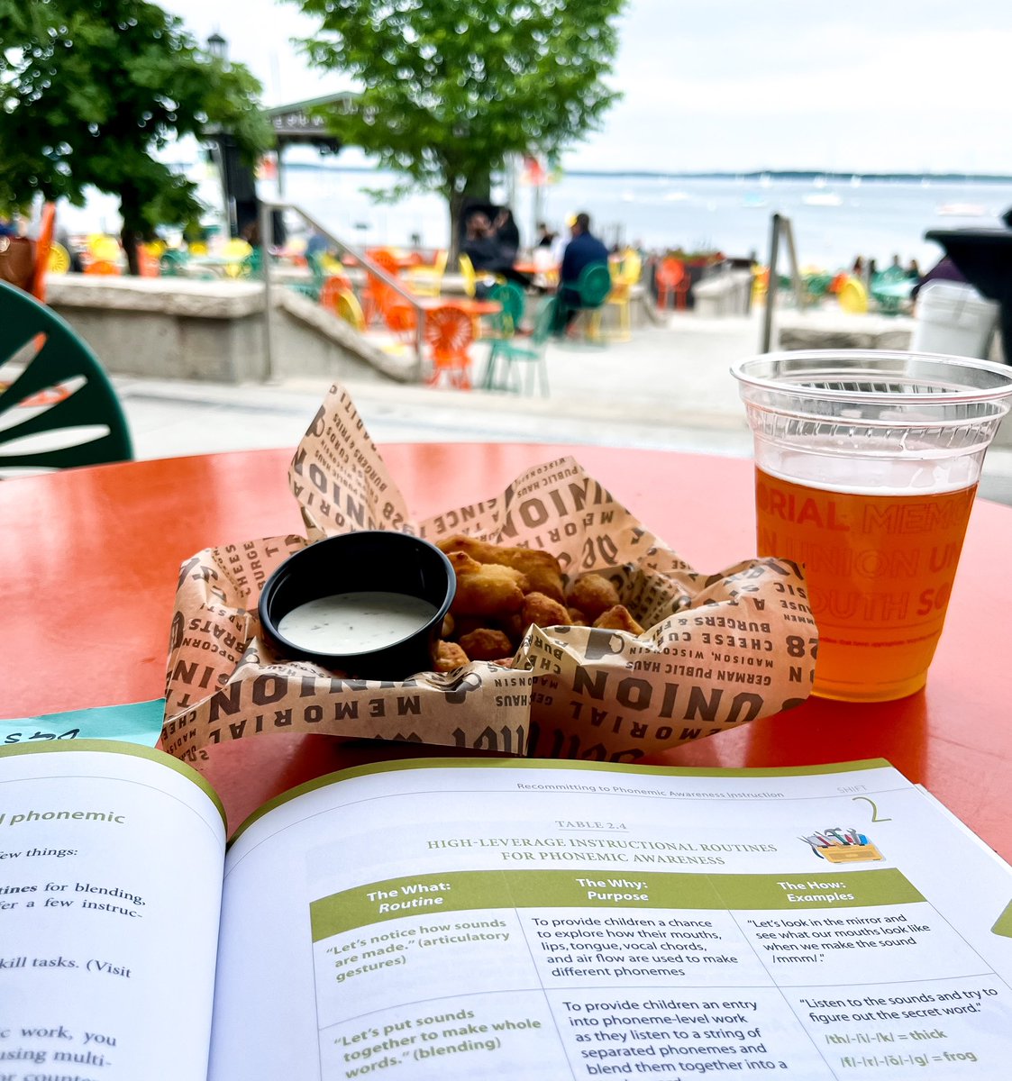 Professional Development… but give it summer vibes ☀️ 
📚 Book: Shifting the Balance
🌈