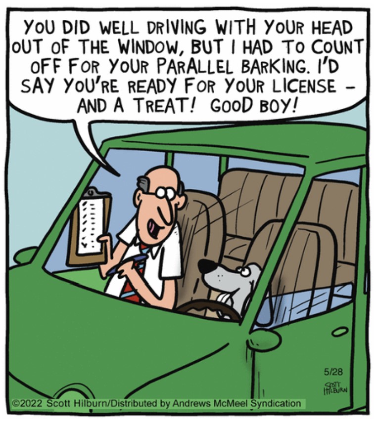 Funny Comics Driving Funny Cartoon Couple Driving Car Stock